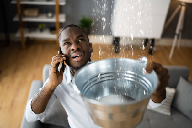 Best Flood restoration services  in Glennville, GA