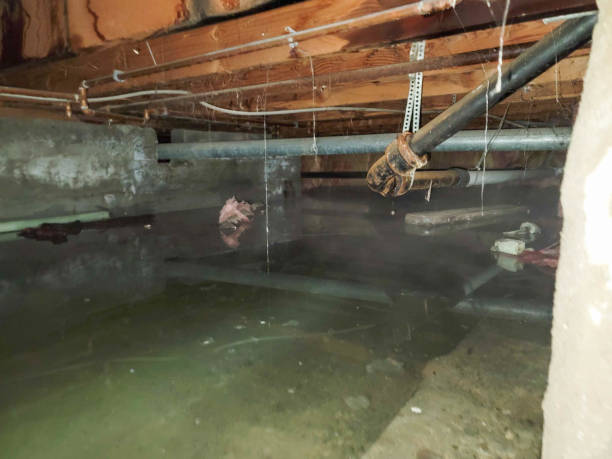 Best Commercial water damage restoration  in Glennville, GA
