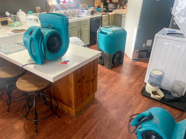 Best Professional water damage repair  in Glennville, GA