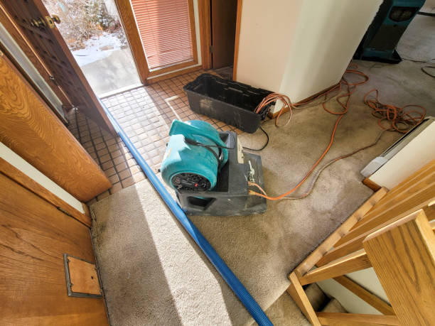 Best Water damage restoration specialists  in Glennville, GA