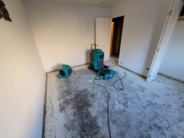 Water damage restoration mold remediation in GA