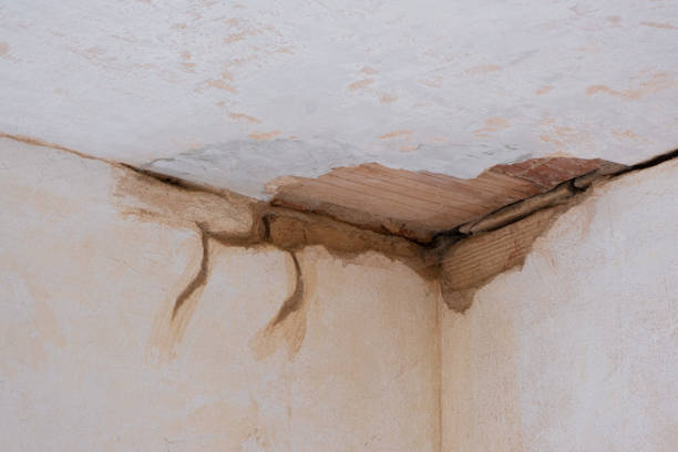 Best Local water damage restoration  in Glennville, GA