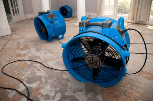Best Emergency water extraction  in Glennville, GA