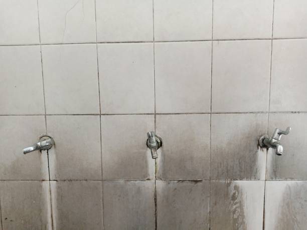Best Flooded house restoration  in Glennville, GA
