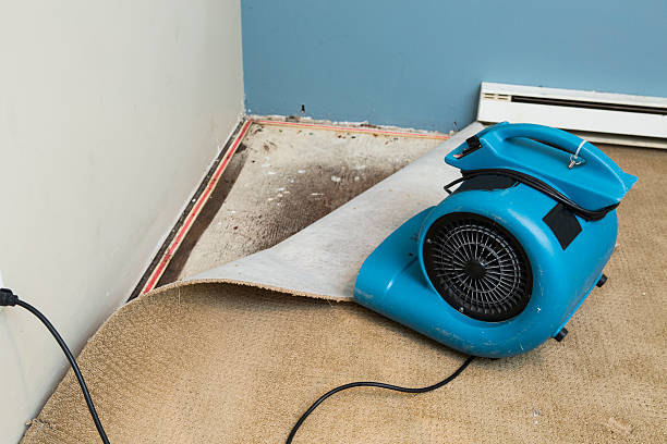Best Flood restoration services  in Glennville, GA